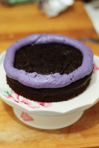 blueberry-chocolate-cake